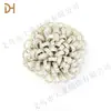 Zapatos pequeños de cuero zapatos de pedrería hebilla de flor para zapatos decoración superior accesorios para punta de pie accesorios para sandalias de tacón alto camelia al por mayor