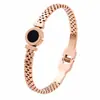 Pulsera popular de acero inoxidable con circonita pulsera de acero de titanio para mujer moda pulsera de mano de alta gama temperamento joyería de mano de nicho venta al por mayor