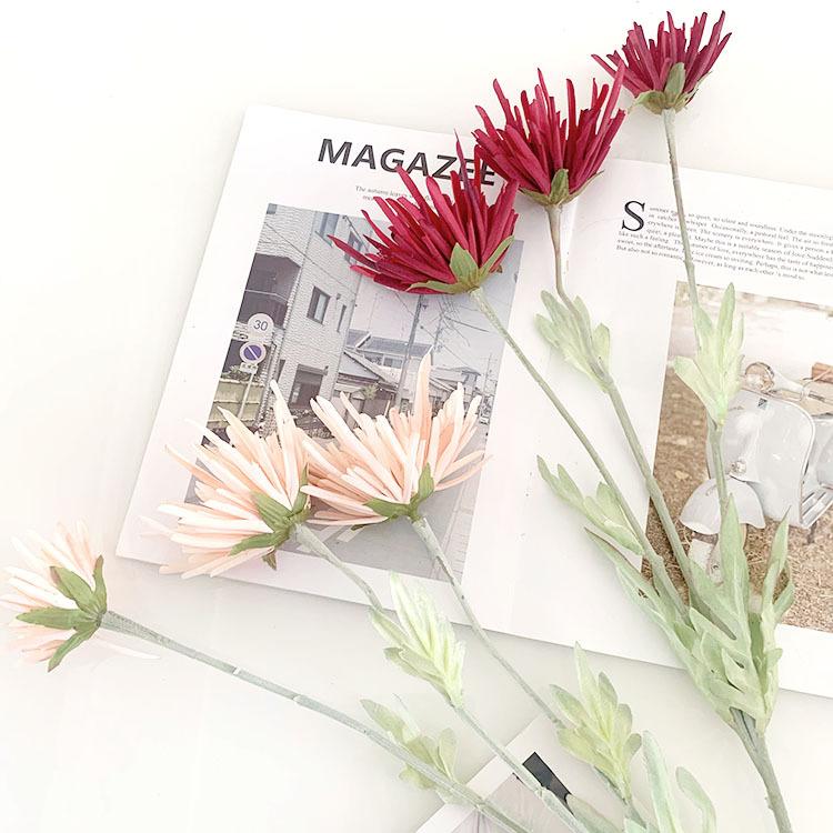 IMG_8023(20220721-111257)