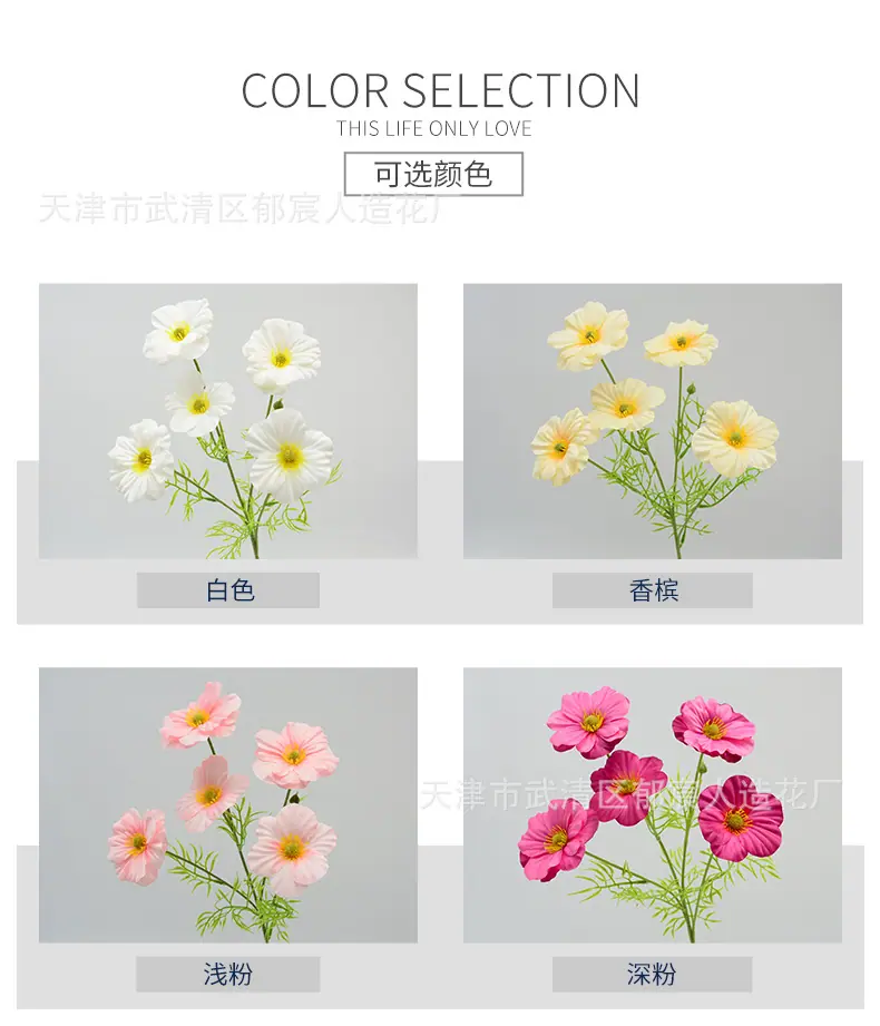 详情_02.jpg