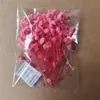 Bolsas de Porciones Pequeñas de Flores Secas, Flores Conservadas, Abanicos Hechos a Mano para DIY, Arreglos Florales Flotantes, Actividades de Team Building, Pegamento, Pinzas