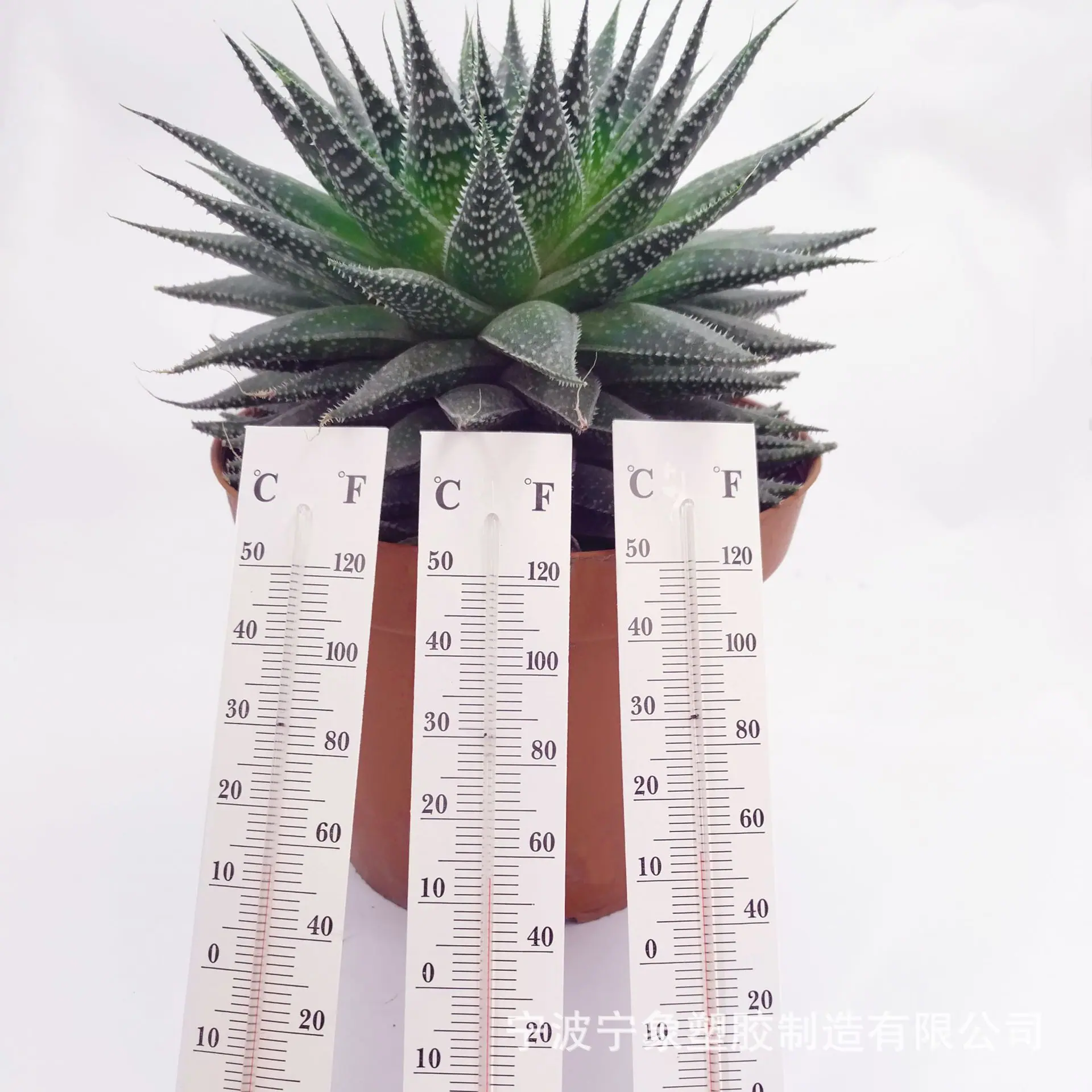 纸板18.9