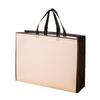 Bolsa de Mano de Tela No Tejida Recubierta de Color Sólido Ropa Lista para Usar Bolsa No Tejida Educación Escolar Bolsa Publicitaria Logo Impresión Expedita