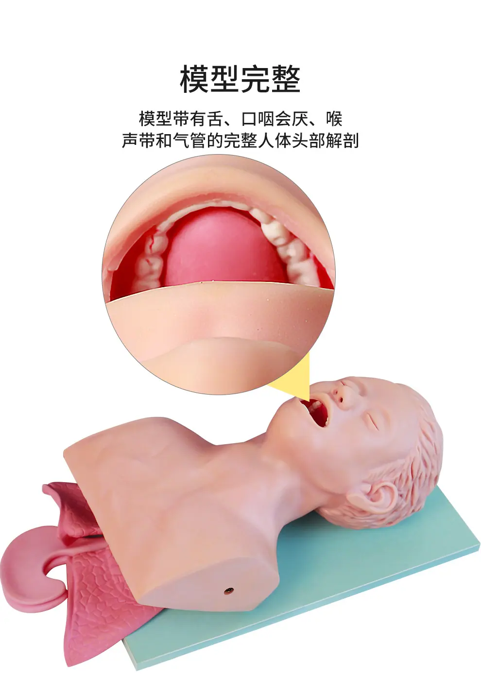 气管插管_04