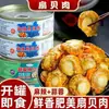 Vieiras Picantes, Carne de Vieira Picante al Ajo, Comida enlatada lista para comer, Guarnición, Snack popular informal, Guarnición, Caja completa