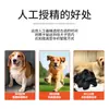 Conductos deferentes para perros, herramienta de cría de perros para mascotas, herramienta de fertilización artificial veterinaria para perros, conductos deferentes desechables para perros