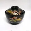 Tazón de Sopa Miso Japonés Restaurante Japonés y Coreano Set de Tazón con Ventosa Plato Combinado Tazón de Arroz Vajilla de Plástico Melamina