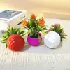 Simples Escandinavo 5 Tomates Cereja Vasos com Fio Mini Bonsai Mesa de Escritório em Casa Flor Artificial de Plástico Plantas em Vasos Mini