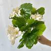 Venta al por mayor de fábrica 5 tallos Flor de Begonia manojo con mango boda decoración del hogar simulación ramo boda flor artificial accesorios para arreglos florales