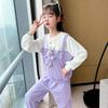 Conjunto de Sudadera y Pantalón Deportivo para Niñas, Atuendo de Primavera, Estilo Coreano, Ropa Deportiva de Moda, Moderno para Niños Mayores, Ropa Moderna y Elegante para Niñas, Ropa Infantil de Celebridad de Internet