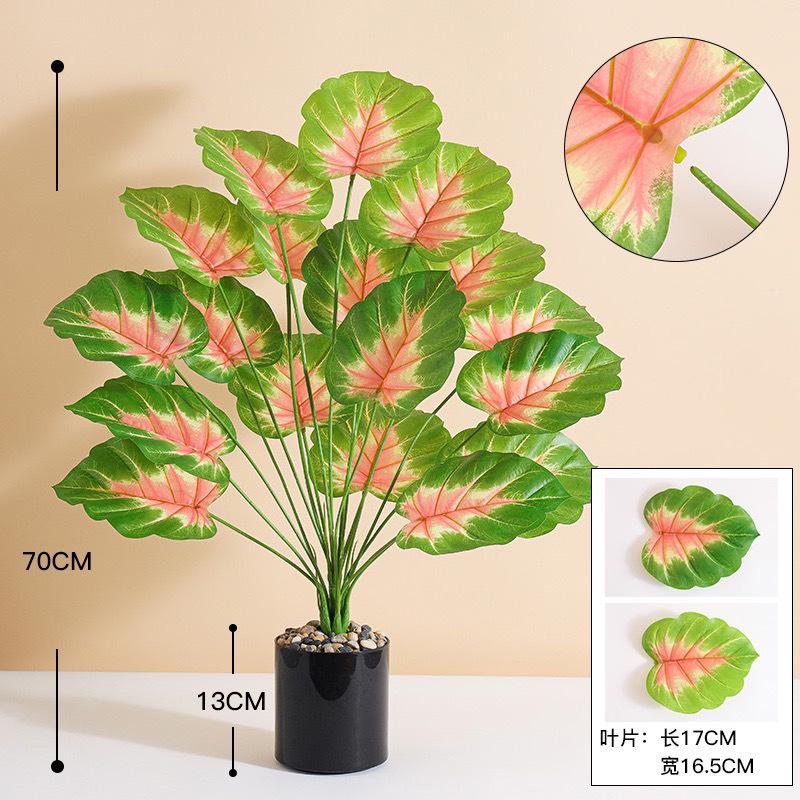 898cfc41-b14c-4736-bf8a-3dc925af0989.jpe