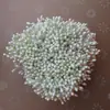 Cuentas Imitación Núcleo de Flor Perlado de 3 mm Cuentas de Yeso Estambre de Flor Centro de Flor de Malla de Seda Materiales para Joyería Hecha a Mano Venta al por Mayor