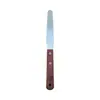 Cuchillo Mezclador de Tinta de Acero Inoxidable de 4 pulgadas, Cuchillo Mezclador de Aceite, Cuchillo Mezclador de Pintura, Cuchillo Pequeño Mezclador de Colores de Tinta y Pintura, Raspador Delgado Flexible