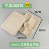 Lonchera para Estudiantes Caja de Empaque Desechable Multicompartimento Caja de Pulpa Biodegradable Ecológica Plato de Cena de Tres Compartimentos Cuatro Compartimentos Cinco Compartimentos Seis Compartimentos