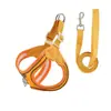 Correa para perros para todas las estaciones para perros pequeños, arnés transpirable y ligero para mascotas que no estrangula el cuello
