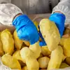 Almofada Dourada Premium Tailandesa com Polpa de Durian, Polpa de Durian Congelada com Sementes, Polpa de Durian Grau A para Uso Comercial, Matéria-Prima Crua Grau A no Atacado