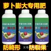 Fertilizante Foliar para Agrandamiento de Zanahoria para Rábano Blanco, Zanahoria y Rábano Verde para Prevenir el Agrietamiento y Daños por Heladas, Fertilizante Especial Soluble en Agua para Control de Agrandamiento