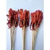Brochetas pequeñas al por mayor para barbacoa de mercado nocturno, selección completa de brochetas calientes y frías, brochetas fritas, productos semiacabados, pollo Bobo y brochetas de cordero