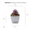 Simulación de chihuahua morado carnoso en flocado, adorno de escritorio en maceta, regalo, pequeño bonsái verde, planta de simulación TEMU