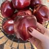 Simulación Alta Fruta de Serpiente Roja Fruta de Serpiente Morada Fruta Falsa Verdura Decoración para el Hogar Decoración de Gabinete Decoración Fotografía Boceto Enseñanza Temprana Consciente