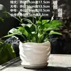 Venta al por mayor y Dropshipping de Macetas de Cerámica Grandes para el Hogar, Estilo Nórdico Simple, para Balcón, Interiores, Sala de Estar, Diámetro Extra Grande