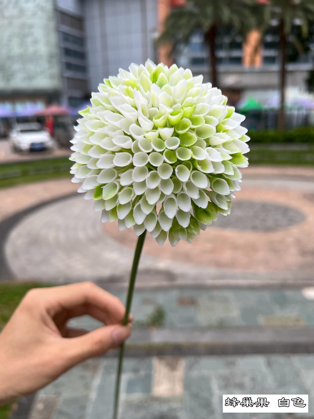 微信图片_20220909201835.jpg