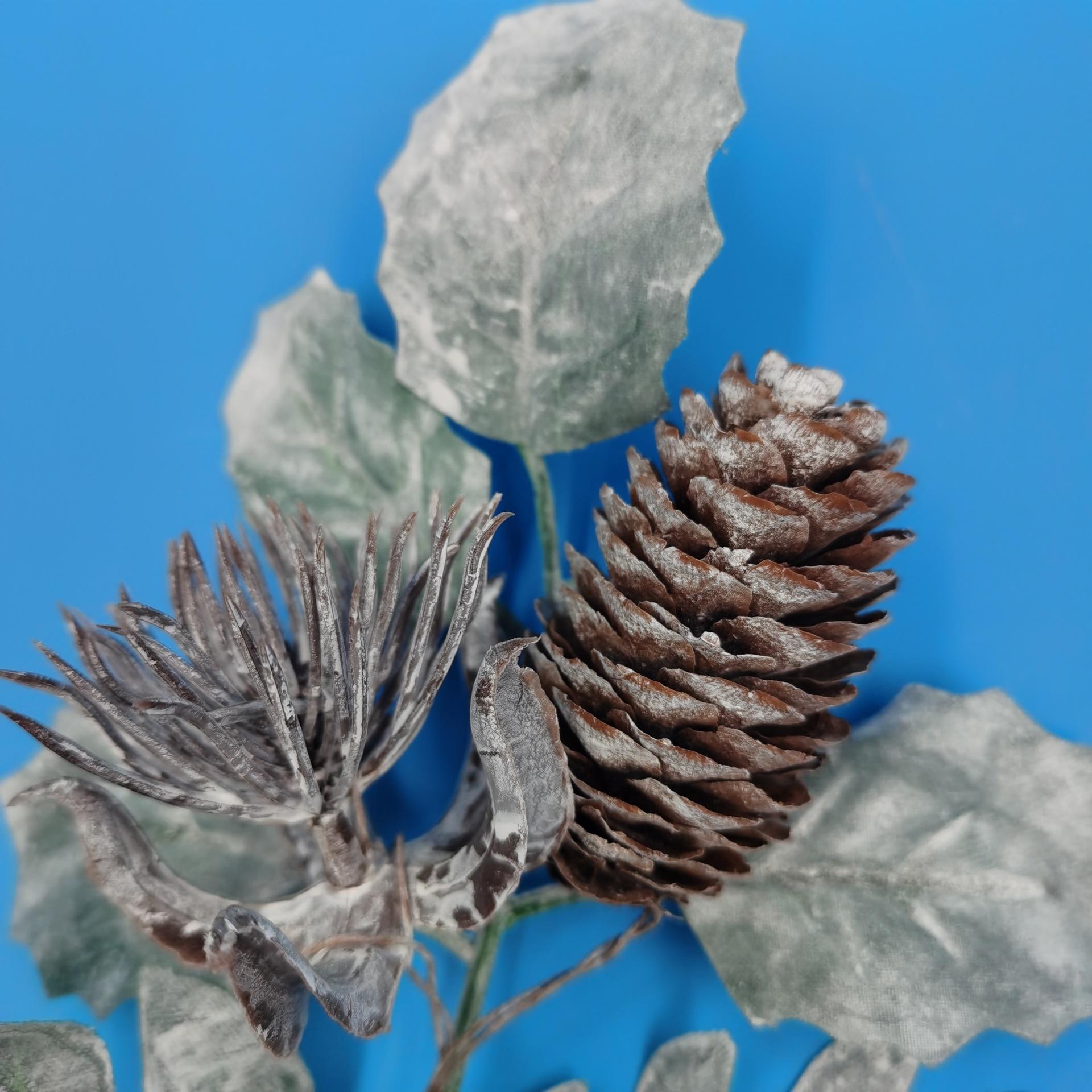 微信图片_202007201456273