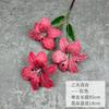 Balde de Decoraciones de Año Nuevo Adornos Flor de Año Nuevo Simulación Arreglo Floral Arreglo Floral Ramo de Entrada de Vacaciones Nueva Residencia Mueble de TV Fruta de Acebo