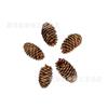 Suministros navideños Material de manualidades Pinus tabulaeformis Pino local Pino americano Piña natural Fruto seco Piña grande