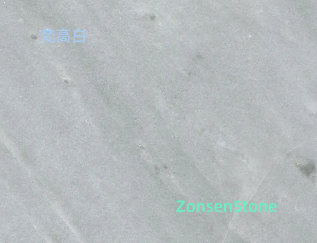 177211917083285144093_详情图.jpg