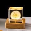 Fuente transfronteriza luz nocturna de bola de cristal de diente de león flor eterna tallada en 3D luminosa base de madera maciza cristal regalo M2