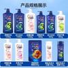 Loción Shampoo Qingyang para Mujer Caspa Antipicazón Refrescante Esponjoso Control de Grasa Fresco Lima Menta Champú para Adultos