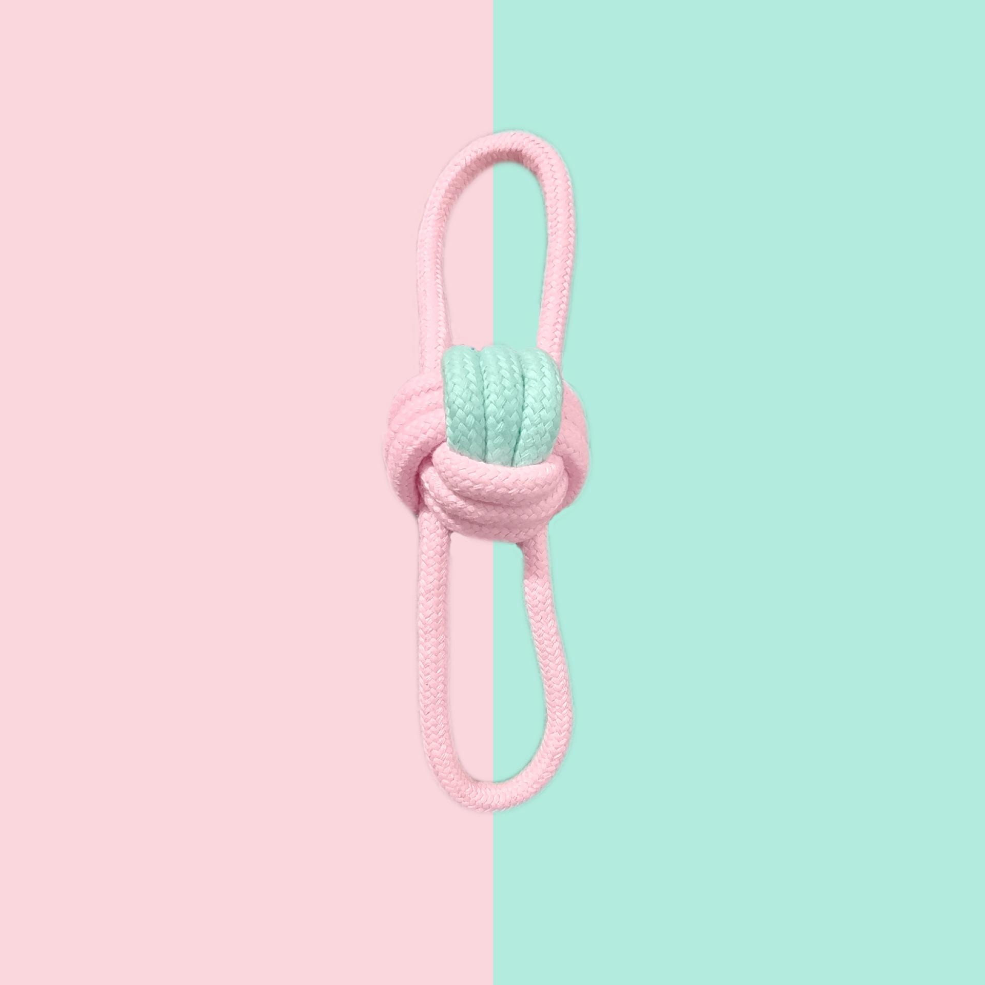 粉蓝双耳球