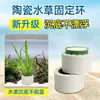 Anel de Plantio de Grama Aquática Paisagismo Cultivo Grama Aquática Fixa Plantio Cultivo Conjunto de Três Peças de Anel de Pia Cerâmica Plantio Rede Inteira Cabelo