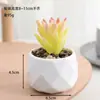 Venta al por mayor de plantas suculentas artificiales, lote mixto de plantas suculentas en maceta diamante, ventas directas de fábrica, decoraciones de plantas verdes para oficina