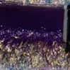 Fabricante de Venta Caliente al por Mayor 15 Colores en Stock Encaje Bordado con Lentejuelas Hoja de Sauce Flecos Iridiscentes Accesorios para Dobladillo de Vestido de Baile Latino