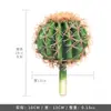 Cacto Cacto Em Vaso Plantas Verdes Falsas Tropicais Paisagismo de Deserto Plantas Verdes Falsas Enfeites Decorativos de Cacto