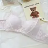 Conjunto de Lingerie de Renda Pura Desejo Estilo Francês Floral Cor de Névoa para Meninas Jovens, Sutiã Push-Up para Seios Pequenos, Anti-Queda, Conjunto de Sutiã Sem Fio