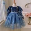 Vestido Feminino com Forro de Lã 2026 Outono e Inverno Novo Estilo Azul Vestido de Aniversário Espesso Acolchoado Vestido Princesa Fofo