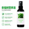 Solución Nutritiva para Plantas de Interior, Fertilizante Foliar para Plantas Verdes, Fertilizante para Árboles de la Fortuna, Árboles Banyan, Flores, Plantas Verdes, Plantas en Maceta, Fertilizante Compuesto