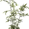 Plantas de Bambú Artificiales para Decoración Interior y Exterior, Pantallas Divisorias para Entradas, Salas de Estar, Paisajismo de Hoteles y Escaparates