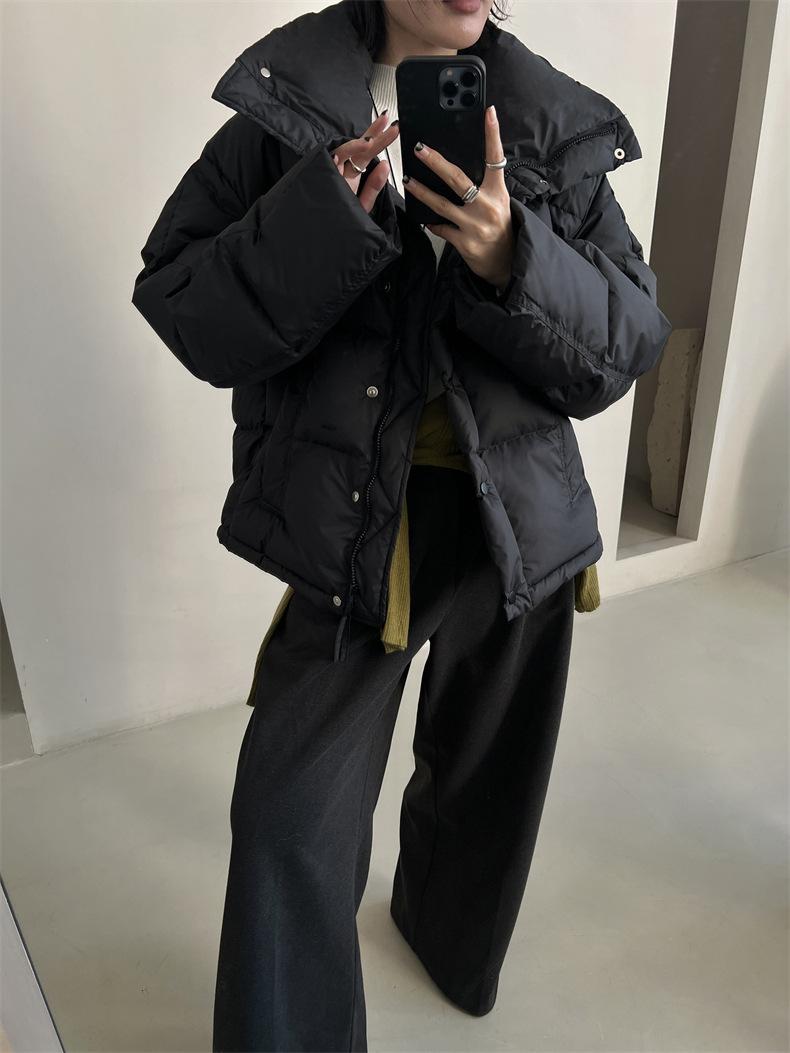 2024-11-26 150435.jpg