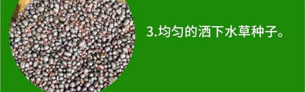 2cac4794-5a87-4c78-a432-13c8727b31ce.jpe