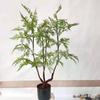 Nuevo helecho cola de caballo nórdico para decoración del suelo del hogar, simulación de planta verde en maceta, helecho persa, árbol de alambre de hierro