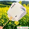 Ventilador Redondo con Pinturas de Colores, Abanico de Caligrafía Lacada, Abanico de Laca Cultural y Creativo Pintado a Mano, Abanico Especial de PVC DIY con Imágenes, Abanico de Estilo Antiguo con Pintura a Tinta