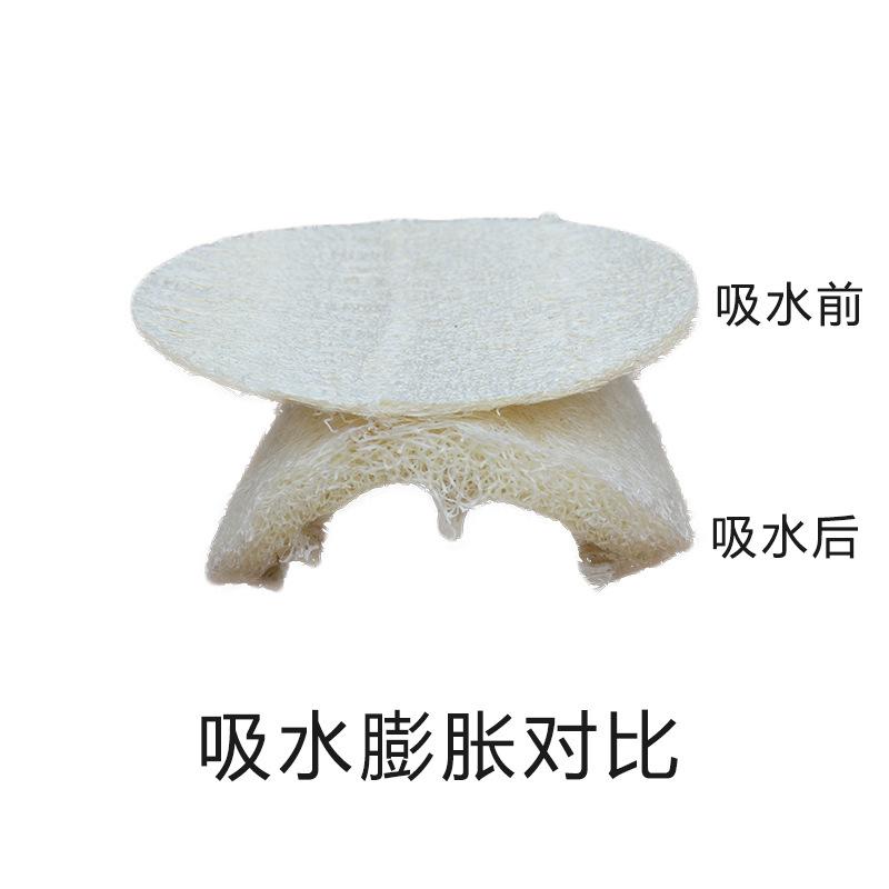 丝瓜片15.jpg