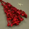 Flores Naturales Preservadas Rosas Multicabezales 5 Tallos Flores Secas Decoración Tienda para el Hogar Arreglo Floral DIY Marco de Fotos de Resina Materiales Florales