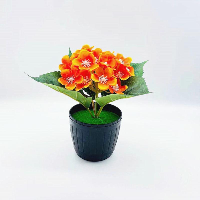 微信图片_20211001170454_副本