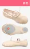 Zapatos de Baile al por Mayor, Zapatos de Baile para Niños, Zapatos de Ballet de Suela Blanda para Práctica de Adultos, Zapatos de Baile, Zapatos de Ballet para Mujer, Zapatos de Yoga