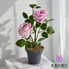 Bonsai de rosa de dos cabezas flores artificiales flores falsas decoraciones para el hogar adornos conversación falsa flores realistas exhibición de sala de estar hogar